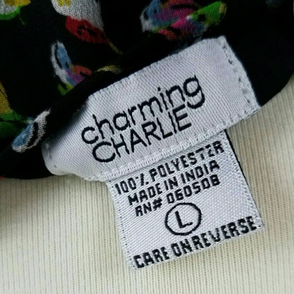 Charming Charlie Bird Dress - Picture 5 of 5